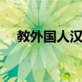 教外国人汉语（关于教外国人汉语简介）
