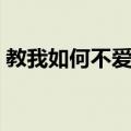 教我如何不爱他（关于教我如何不爱他简介）