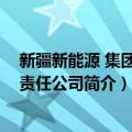 新疆新能源 集团有限责任公司（关于新疆新能源 集团有限责任公司简介）