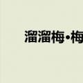 溜溜梅·梅冻（关于溜溜梅·梅冻介绍）