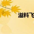 溢料飞边（关于溢料飞边介绍）