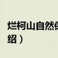 烂柯山自然保护区（关于烂柯山自然保护区介绍）