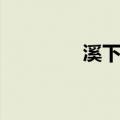 溪下村（关于溪下村介绍）