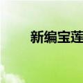 新编宝莲灯（关于新编宝莲灯简介）