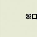 溪口山（关于溪口山介绍）