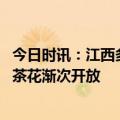 今日时讯：江西多家景区免费向女性开放 江西省林科院樱花茶花渐次开放