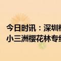 今日时讯：深圳梧桐山游客遇白狐野保处回应 深圳开通直达小三洲樱花林专线