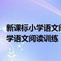 新课标小学语文阅读训练：学会阅读 六年级（关于新课标小学语文阅读训练：学会阅读 六年级简介）