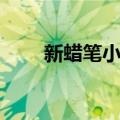 新蜡笔小新（关于新蜡笔小新简介）