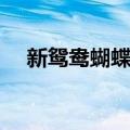 新鸳鸯蝴蝶梦（关于新鸳鸯蝴蝶梦简介）