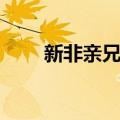 新非亲兄弟（关于新非亲兄弟简介）