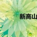 新高山站（关于新高山站简介）