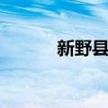 新野县主（关于新野县主简介）