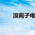 溴离子电极（关于溴离子电极介绍）