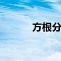 方根分析（关于方根分析简介）