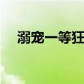 溺宠一等狂妃（关于溺宠一等狂妃介绍）