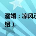 溺婚：凉风已有信（关于溺婚：凉风已有信介绍）