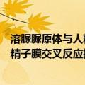 溶脲脲原体与人精子膜交叉反应抗原（关于溶脲脲原体与人精子膜交叉反应抗原介绍）