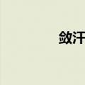 敛汗丹（关于敛汗丹简介）
