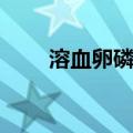 溶血卵磷脂（关于溶血卵磷脂介绍）