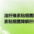 溶纤维素粘细菌降解纤维素的多酶复合体解析（关于溶纤维素粘细菌降解纤维素的多酶复合体解析介绍）