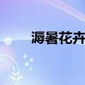 溽暑花卉图（关于溽暑花卉图介绍）