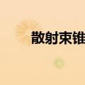 散射束锥角（关于散射束锥角简介）