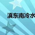滇东南冷水花（关于滇东南冷水花介绍）
