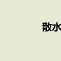 散水泉（关于散水泉简介）