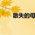 散失的母亲（关于散失的母亲简介）