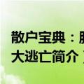 散户宝典：胜利大逃亡（关于散户宝典：胜利大逃亡简介）