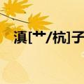 滇[艹/杭]子梢（关于滇[艹/杭]子梢介绍）