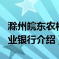 滁州皖东农村商业银行（关于滁州皖东农村商业银行介绍）
