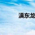 滇东龙属（关于滇东龙属介绍）