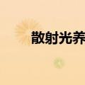 散射光养花（关于散射光养花简介）