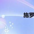 施罗延（关于施罗延简介）
