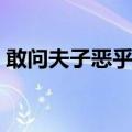 敢问夫子恶乎长（关于敢问夫子恶乎长简介）