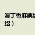 滇丁香麻栗坡群体（关于滇丁香麻栗坡群体介绍）