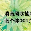 滇南风吹楠海南个体001（关于滇南风吹楠海南个体001介绍）