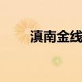 滇南金线兰（关于滇南金线兰介绍）