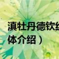 滇牡丹德钦红坡群体（关于滇牡丹德钦红坡群体介绍）
