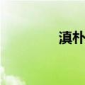 滇朴树（关于滇朴树介绍）