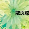 散页胶片（关于散页胶片简介）
