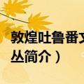 敦煌吐鲁番文书论丛（关于敦煌吐鲁番文书论丛简介）