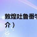 敦煌吐鲁番学论稿（关于敦煌吐鲁番学论稿简介）