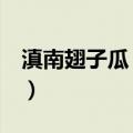 滇南翅子瓜 变种（关于滇南翅子瓜 变种介绍）