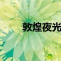 敦煌夜光杯（关于敦煌夜光杯简介）