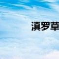 滇罗草蛉（关于滇罗草蛉介绍）