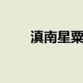 滇南星粟草（关于滇南星粟草介绍）