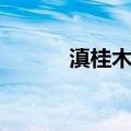 滇桂木莲（关于滇桂木莲介绍）